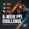 WebbyLyfts 6-Week PPL Challenge cover